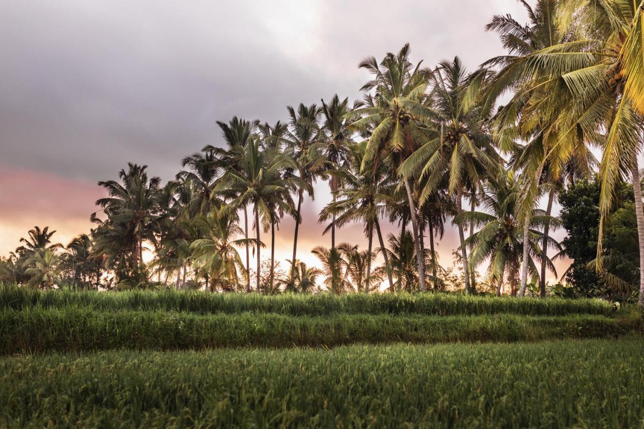Luxe Villas Bali Ubud Exterior foto